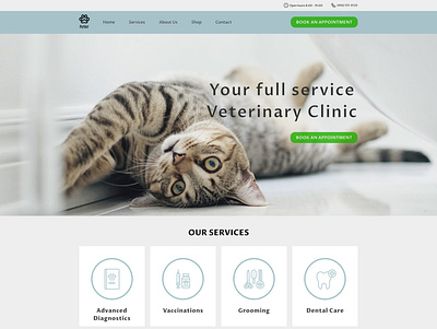 Veterinary website design design ui uxui design webdesign
