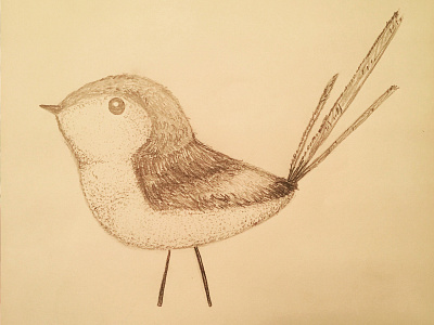 Bird Doodle doodle doodleart drawing