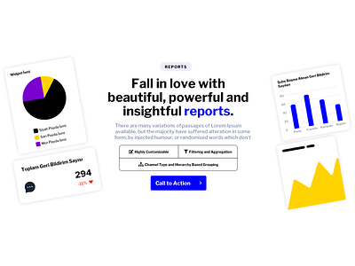 Pisano Reports brand card customer experience feedback landing landing page landingpage pattern pisano pisanoco report reports ui ux uxdesign