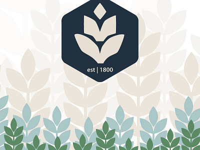 Back Of Letterhead blue brand branding church green hexagon khaki letterhead logo teal wheat