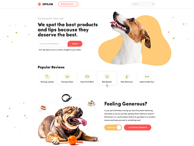 Products reviews for pets clean corporate design illustration landing ui ux web webdesign wordpress