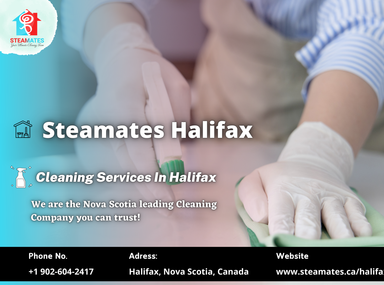 Steamates Ottawa Dribbble