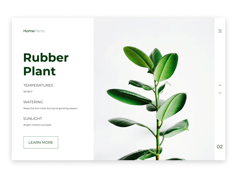 Home Plants Website Interaction after effects clean design green home plants interaction design interactions interface design minimal motion design ui design white