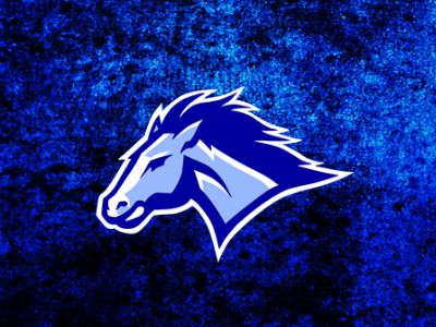 Horseheads Highschool Redesign blue highschool horseheads logo raiders redesign