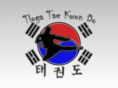 Tae Kwon Do Logo Comparison GIF