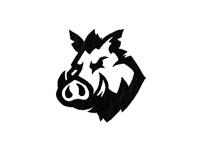 Boar Sketch 2