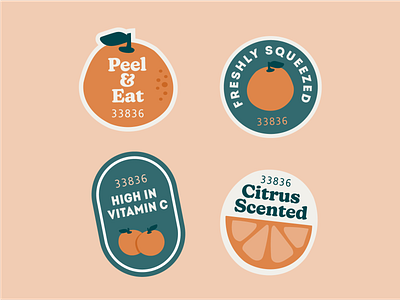 Orange Stickers citrus fruit stickers