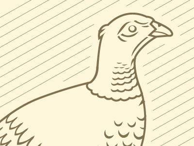 Pheasant illustration