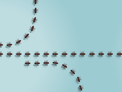 Ants animation illustration