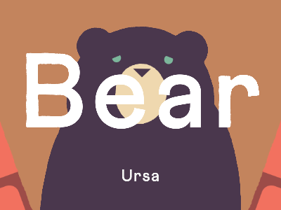 Bear / Ursa animation illustration