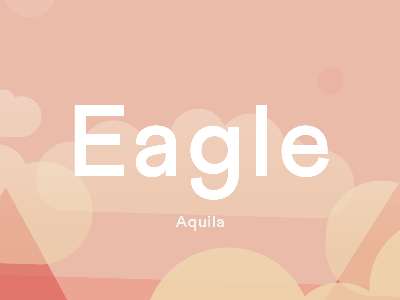Eagle / Aquila animation illustration