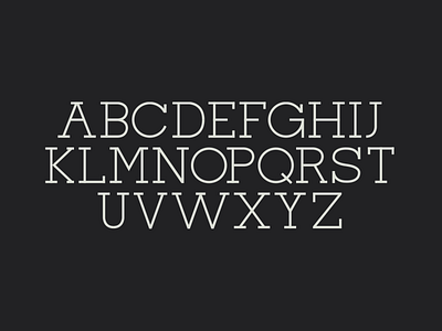 Palfrey Slab Font identity typography