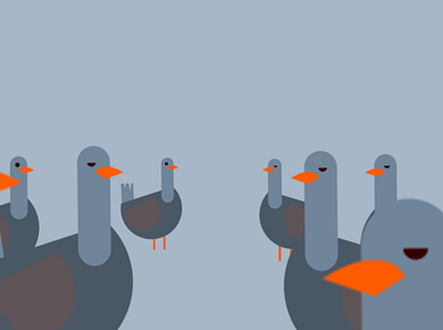 Pigeons animation art direction illustration