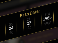 Birth Date Selector
