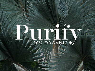 Purifydribbble bodycare branding green organic product purify skincare