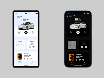 Tesla App Concept