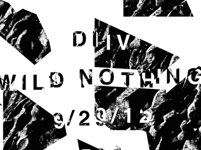 DIIV & Wild Nothing atlanta bands diiv gig posters graphic design posters printmaking shows wild nothing