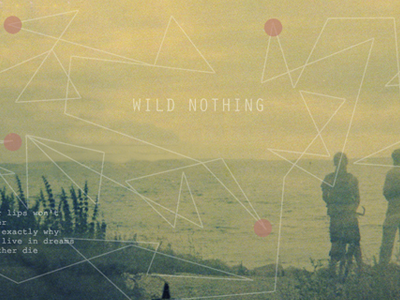 Wild Nothing art bands design graphic design web design wild nothing