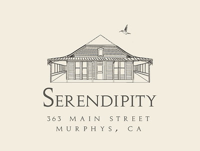Serendipity design digitalart graphic design illustration logo logodesign procreate