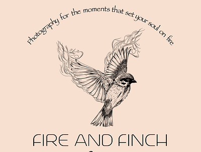 Fire and finch photography design digitalart graphic design illustration logo logodesign procreate