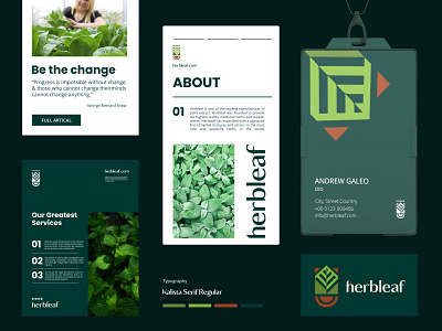 Herbleaf logo abstract logo agriculture logo brand identity branding graphic design green logo herbal logo leaf logo logo minimal logo nature logo verdant logo
