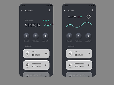 Accaunts financial app