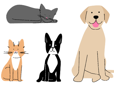 cuties boston terrier cat cats dog illustration