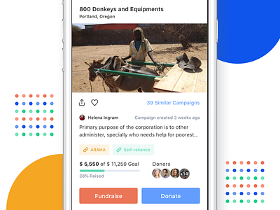 Online Fundraising - iOS App - Fundra affordance budget campaigns clean dashboard donations donors feeds fundraise fundraising ios app mobile design nonprofit progress bar real project saas signifier track usability user interface