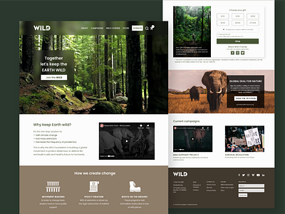 Wild | Website Redesign branding design illustration ui ux uxdesign vector website