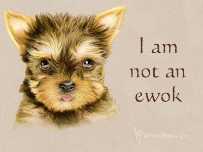 "Yorkie" I Am Not An Ewok