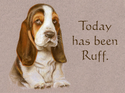 "Bassett Hound" Today Has Been Ruff art bassett hound colored pencils dog portrait puppy watercolor