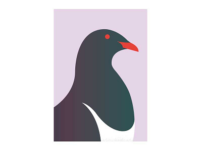 Kereru