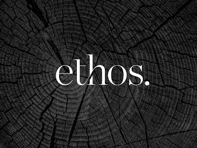 Ethos Property Logo Design