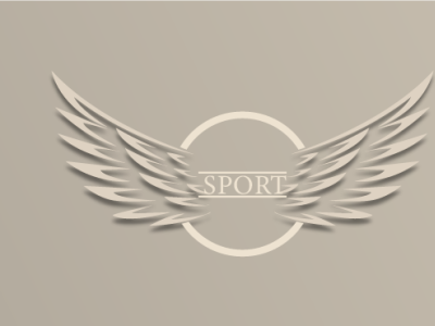 sport logo log
