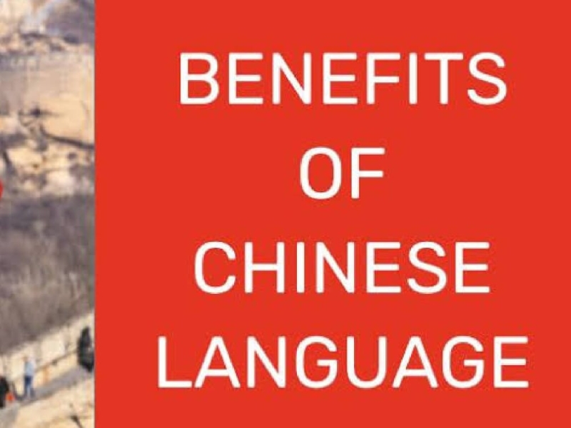 best-scope-and-benefits-of-chinese-language-in-india-by-vishal-on-dribbble