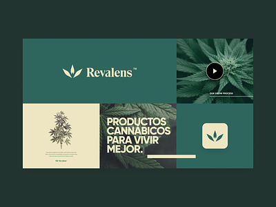 Revalens Brand