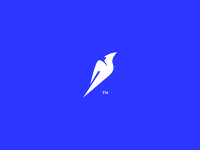 Piio - Branding bird blue branding concept design icon illustration logo white