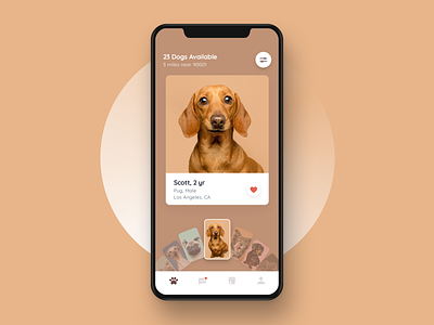 Pets app bold cards carrusel clean daschhund design dog feed hellohello interface ios pet pets simple slide ui ux