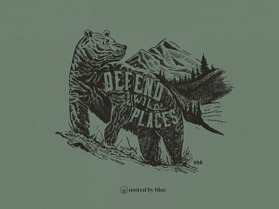 United By Blue Defend Wild Places bear bear illustration hand lettering illustraion national park nature illustration outdoors