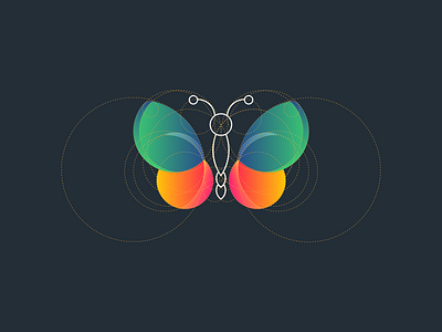 Butterfly with Golden ratio butterfly golden ratio golden ratio logo logo