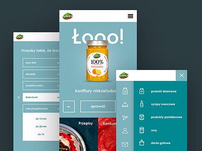 Łowicz - product website colorful food navigation simple ui ux web website