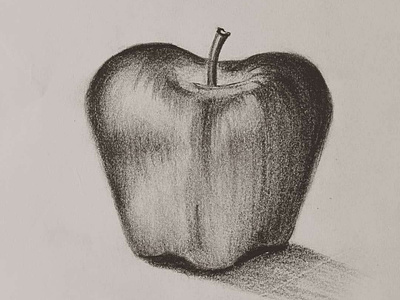apple 2d cartoon design drawing sketch