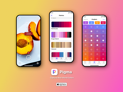 UI, Logo, Icon, Screens for Pigma