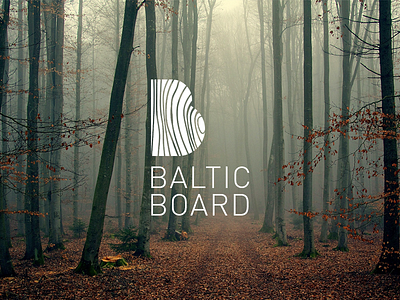 Logo for company Baltic Board design identity logo logotype wood