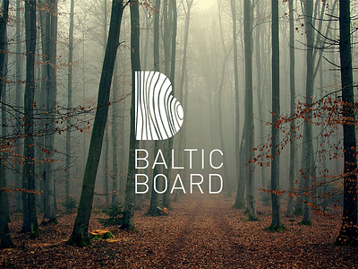 Logo for company Baltic Board