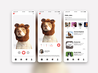 A matching/adopting app for animals app figma productdesign ui ux