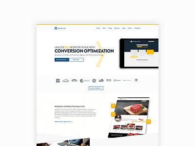 New Company Site branding case study layout ui ux web design website