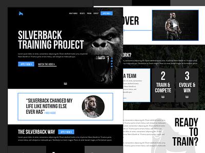 Silveback Training Project branding design illustrator ui user experience ux ux ui web design website design