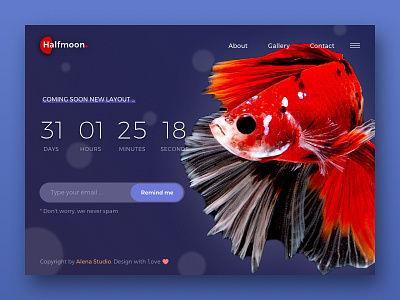 Coming Soon Layout - UI Concept betta coming soon countdown fish halfmoon landing page number