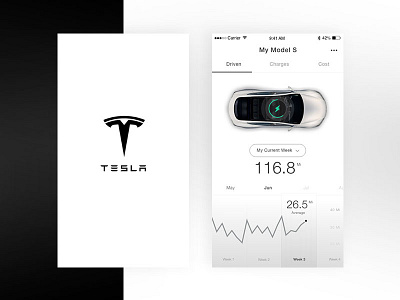 Tesla Analytics - Concept App